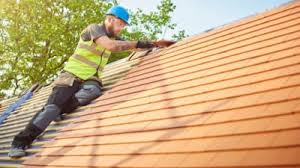 Best Cold Roofs  in Dorothy, NJ