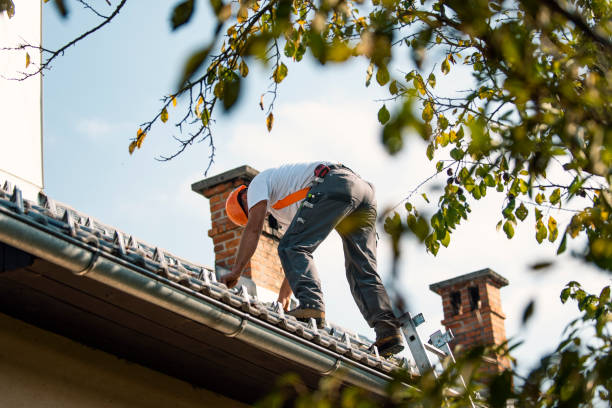 Best Commercial Roofing Services  in Dorothy, NJ